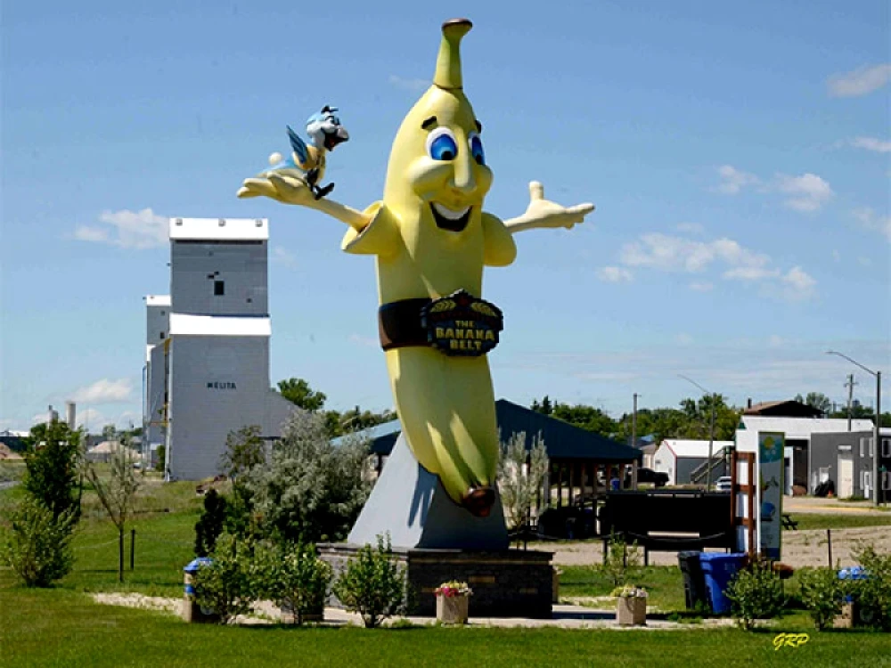 Världens största bananstaty i Kanada