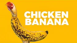 Bananer och kycklingar går viralt!
