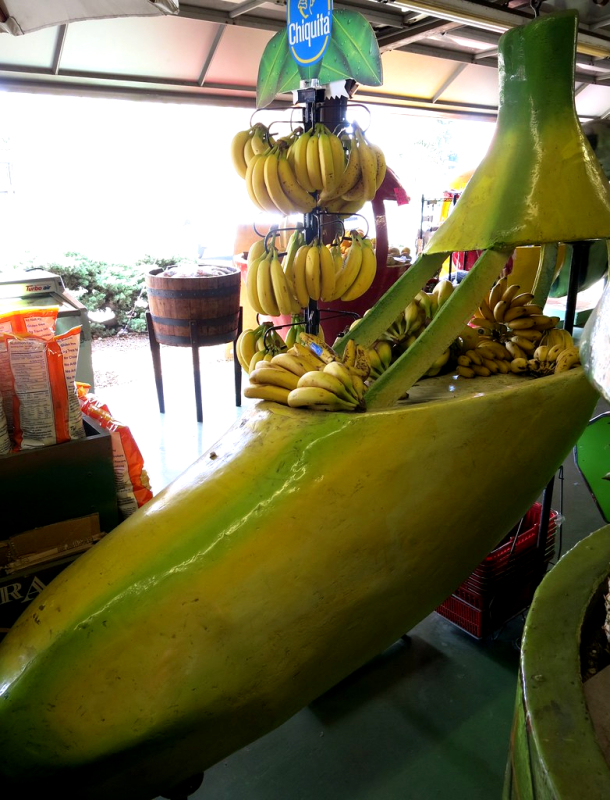 Banandisplay