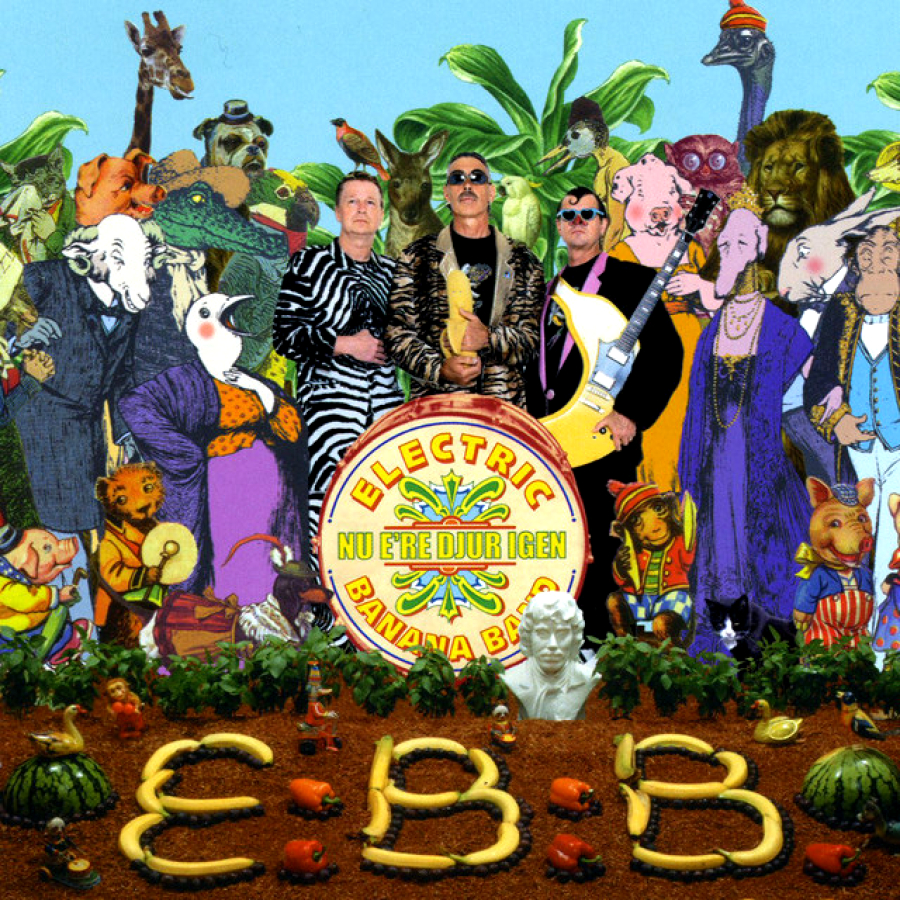 Jag ska bli som en delfin